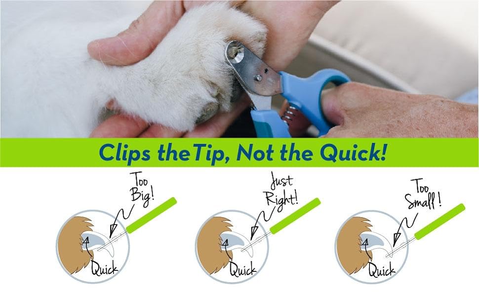 nail trimmer pet nail trim pet grooming accessories pet accessories