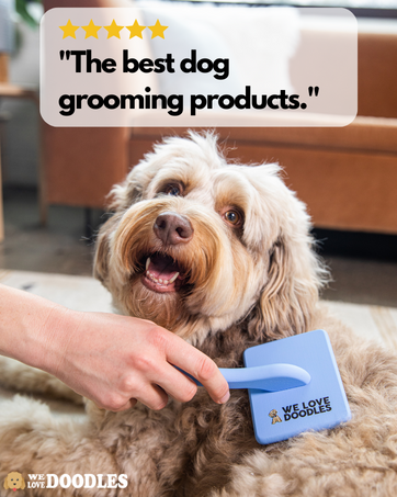 we love doodles dog grooming products
