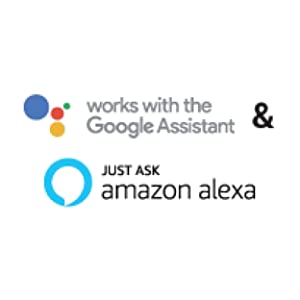 works with the Google Assistant ; Just Ask amazon alexa