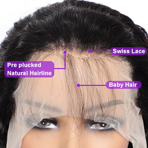 Glueless Wigs Human Hair Pre Plucked 13x4 Lace Front Wigs Human Hair