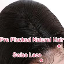 Pre Plucked Natural Hairline with Baby Hair All Around