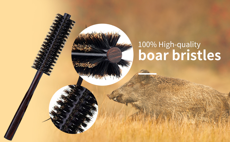 Small round Boar Bristle brush