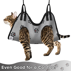 cat hammock