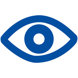 Following Icon