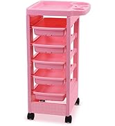 Paddie Pink Salon Trolley Cart with Wheels/5 Drawers/Hair Dryer Holder/Tint Bowl Slot for Hair St...