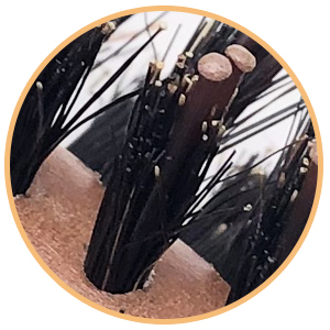 Round Brush