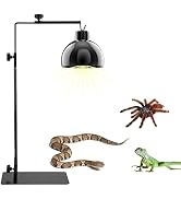 kathson Reptile Lamp Stand Adjustable Metal Floor Lamps Bracket Reptiles Tank Heating Light Suppo...