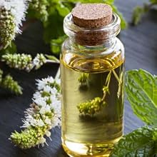 peppermint oil