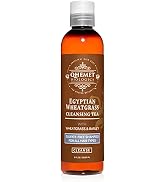 Qhemet Biologics Egyptian Wheatgrass Cleansing Tea - Sulfate-Free Shampoo for All Hair Types - Re...