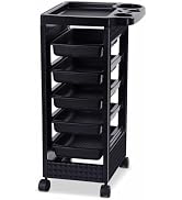 Paddie Black Salon Trolley Cart with Wheels/5 Drawers/Hair Dryer Holder/Tint Bowl Slot for Hair S...