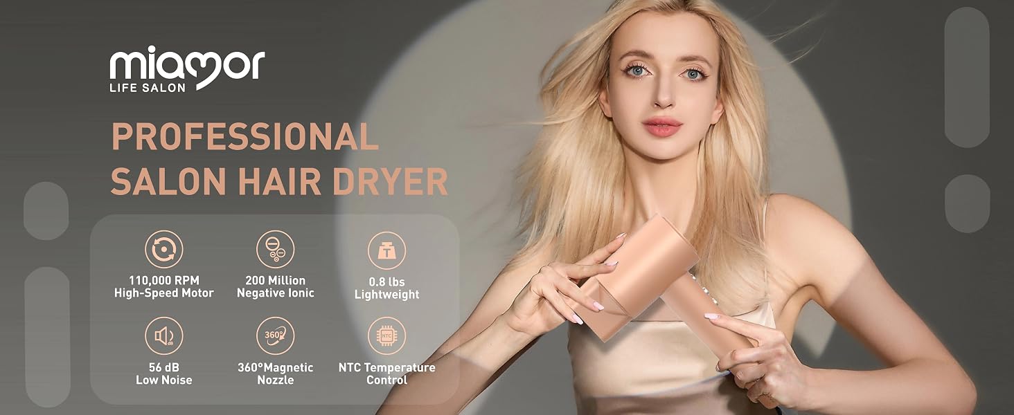 High-Speed Blow Dryer