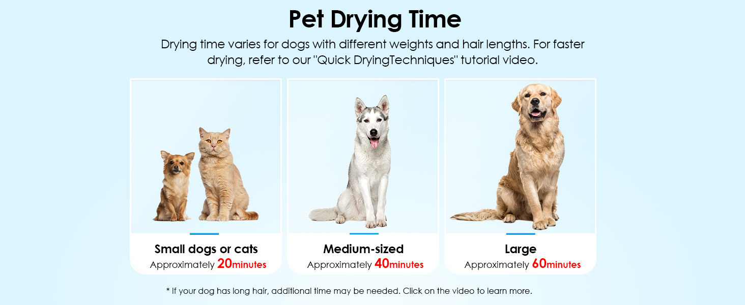 portable dog hair dryer