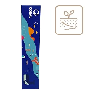 100% Recyclable Packaging