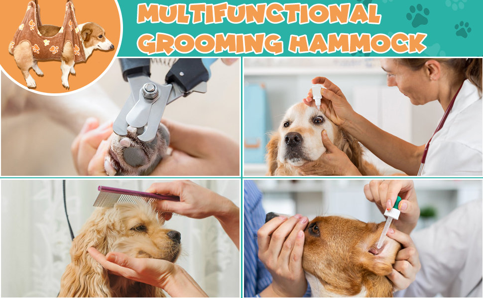 Multifunctional pet hammock
