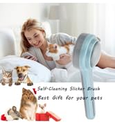 cat brush