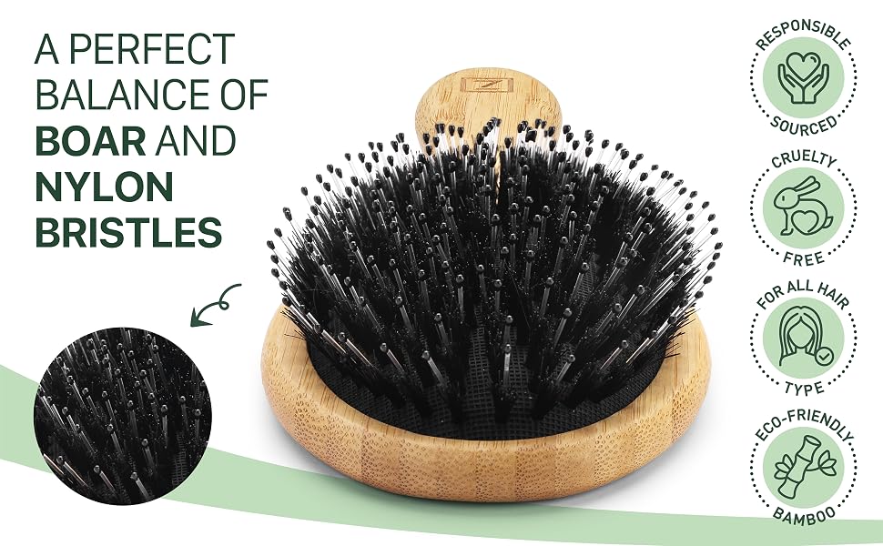 Natural Boar Bristle Hair Brush for Women, Men, Kids