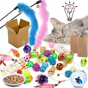 distract cat