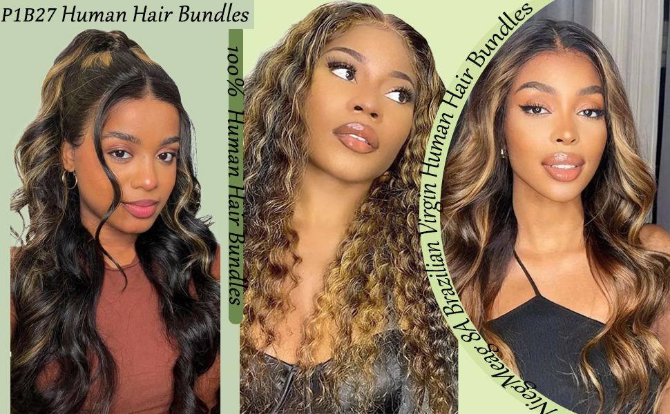 p1b27 bundles
