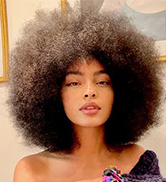 wig