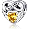 Rimgoris 925 Sterling Silver Charm for Women Bracelets Necklace Happy Birthday Birthstone November 5A Cubic Zirconia Mother's Day Charms for Women
