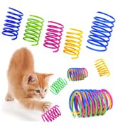cat toys