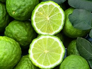 Italian Bergamot