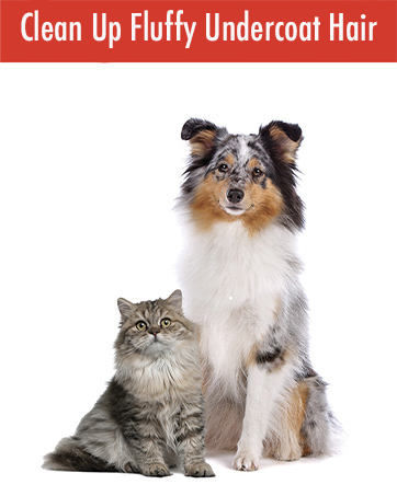 Lilly Brush Pet Hair Removers