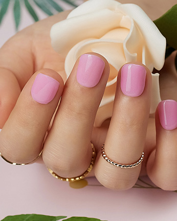 Dip Nail Kit