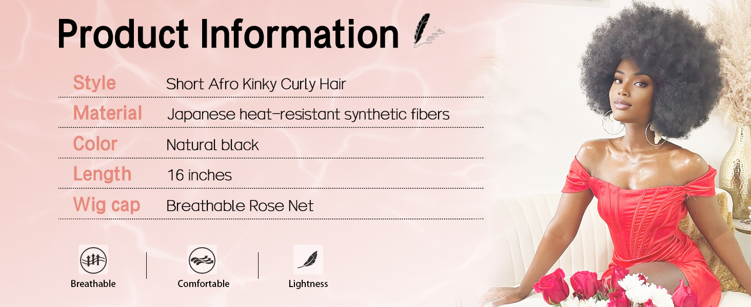 Short Kinky Curly Hair Wigs
