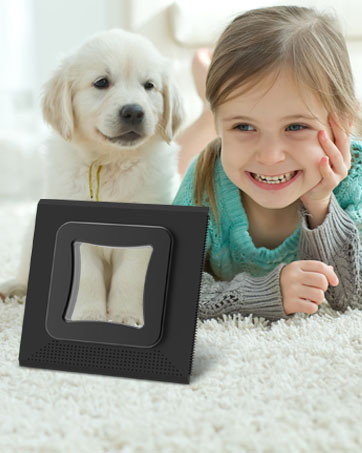 pet hair removal tool
