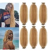 Spring Afro Twist Hair, 20 Inch Springy Marley Twist Braiding Hair Pre-Separated 6 Packs Spring T...