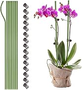 10PCS Garden Metal Plant Stakes with 15PCS Vine Fixing Clip Set, 24inch Tall Single Stem Flower S...