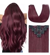 TESSHAIR Clip in Hair Extensions Real Human Hair 12 Inch Human Hair Clip in Extensions Burgundy H...
