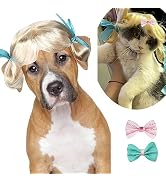 Funny Dog Wig Pet Costumes, Cat Costume Synthetic Hairpiece Cosplay Wigs, Headwear for Halloween ...