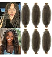 Spring Afro Twist Hair, 20 Inch Springy Marley Twist Braiding Hair Pre-Separated 6 Packs Spring T...