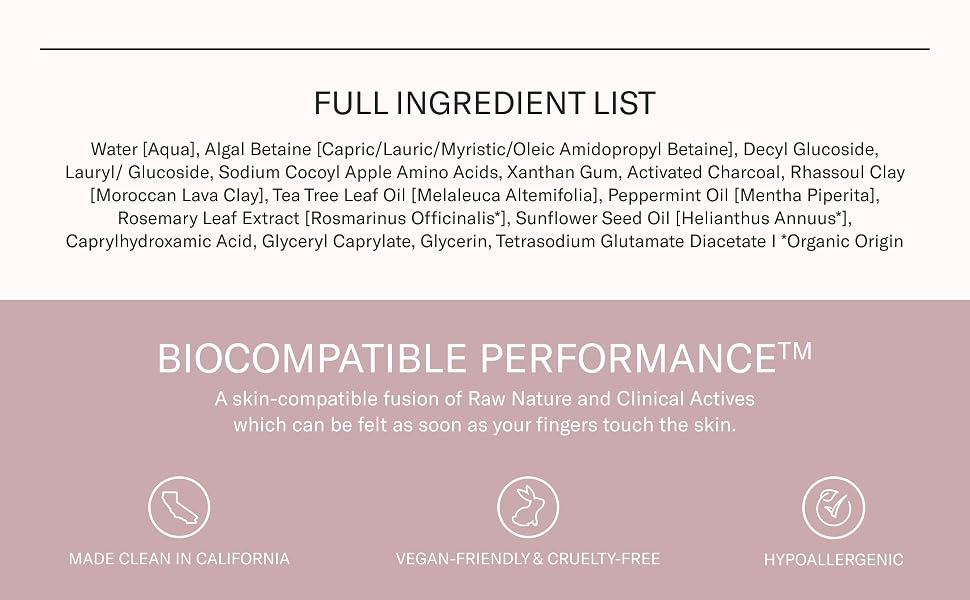 black mint cleanser, facial cleanser, mint cleanser, charcoal face wash, activated charcoal