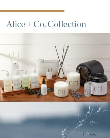 Alice & Co. full collection
