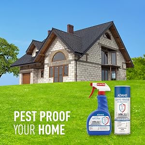 Pest proof your home