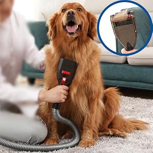 Dog Hair Brush
