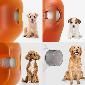 For most size pet