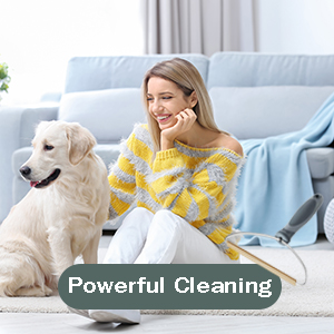 dog hair remover brush for carpet