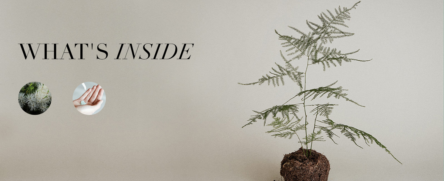 WHAT'S INSIDE