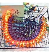 27.8Ft Fall Decor Flickering Flame String Lights Orange Halloween Lights with 25+2 Pack C7 Orange...