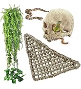 kathson Reptile Habitat Skull Decoration Bearded Dragon Tank Accessories Resin Human Skulls Hide ...