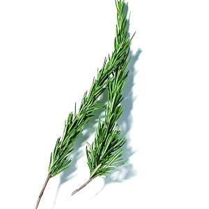 Rosemary