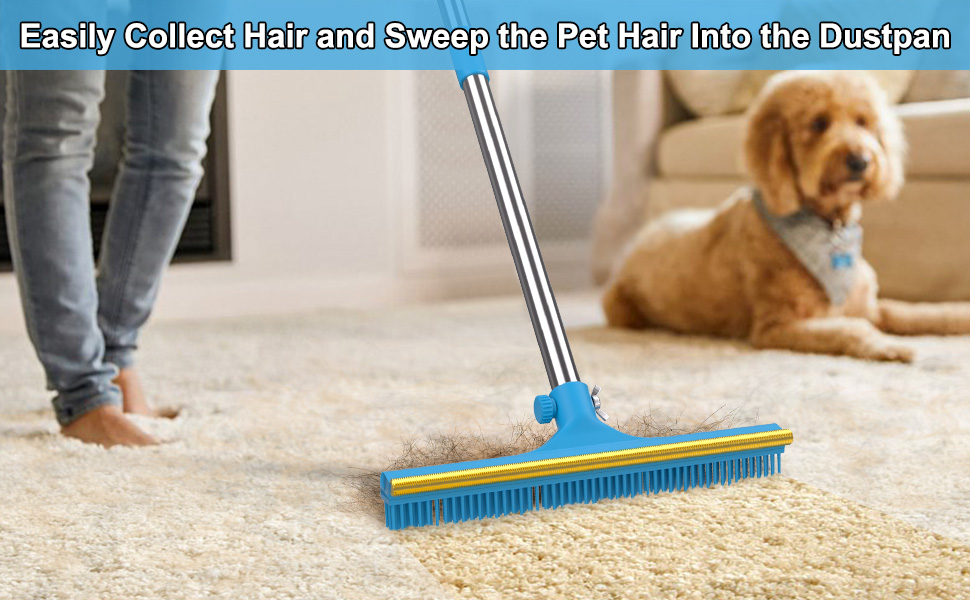 Carpet Rake for Pet Hair Removal