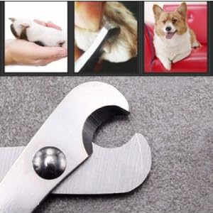 Small Animals Claw Trimmer