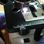 Customer Image, click to open customer review