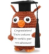JULEASEL 2025 Graduation Gifts Mini Funny Positive Crochet Owl with Cap for Her Him, Emotional Cr...