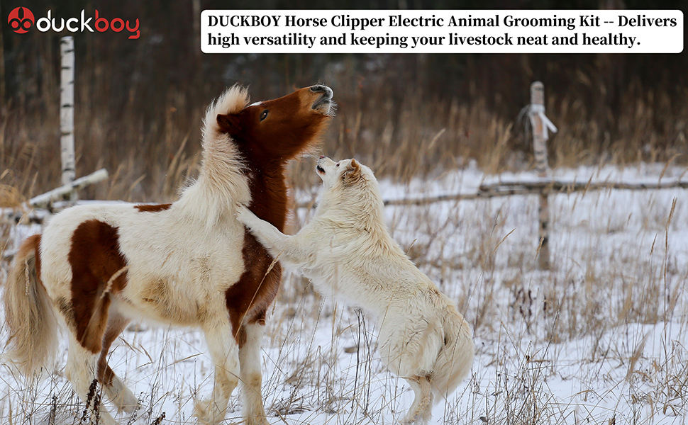 livestock shearing clipper